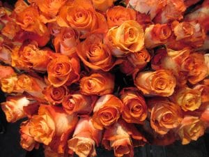 things-love-1